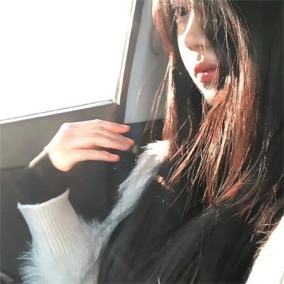 狗狗体型之谜