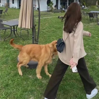 自闭历程
